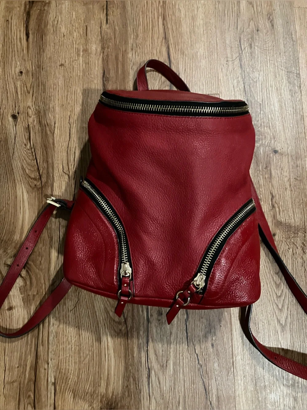 Vince Camuto Katja Leather Backpack Pepper Berry Red